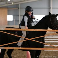 working-equitation-akadaly kapu 04