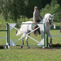 working-equitation-akadaly kapu 20