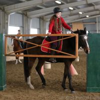 working-equitation-akadaly kapu 22