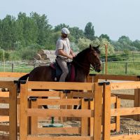 working-equitation-akadaly karam 03