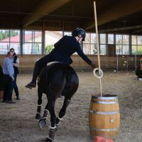 working-equitation-akadaly rudlerakasa 02