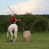 working-equitation-akadaly rudlerakasa 03