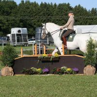 working-equitation hid 01